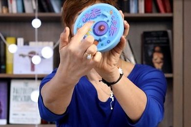 eizellqualität darja wagner, eizellen verbessern