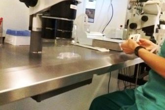 social freezing bis wann