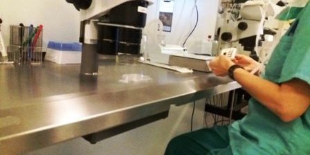 social freezing bis wann