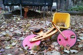 kinder im späten alter bekommen