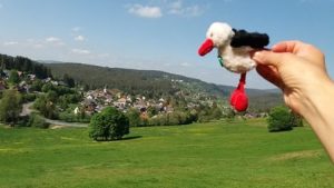 Feldberg, Schwarzwald, Privatfoto