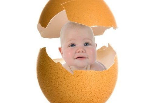 eizellqualität kinderwunschberatung