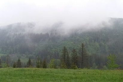 eisenmangel verhindert die einnistung