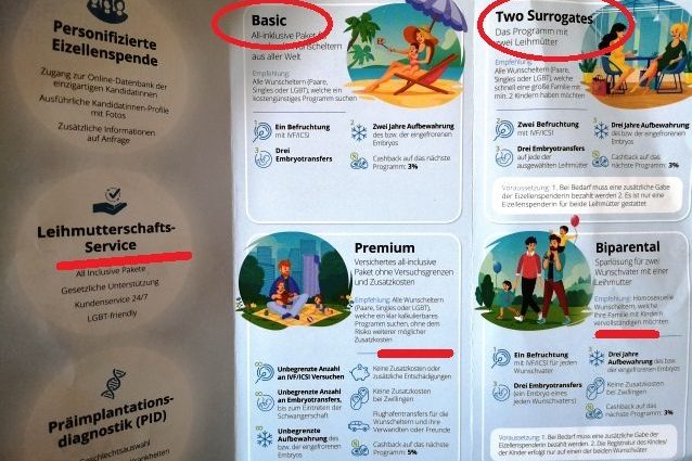 leihmutter-wie-findet-man