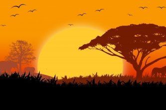 fruchtbarkeit menschen tiere