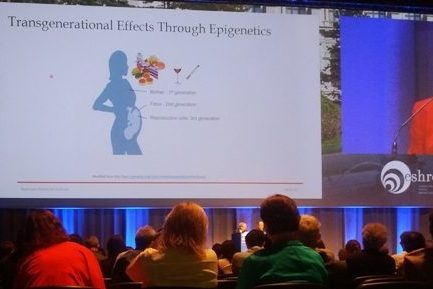 kinderwunsch ernährung