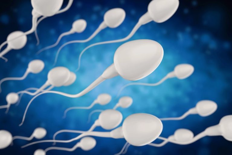 Foto Dank: Depositphotos.com spermiogramm samenzellen