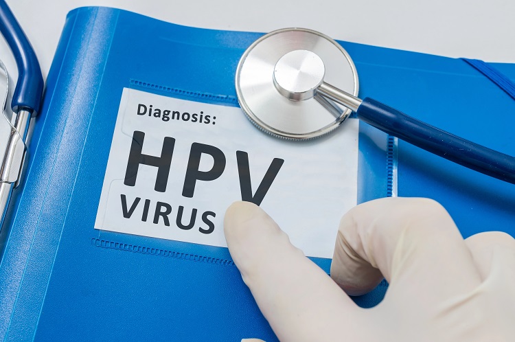 hpv was ist